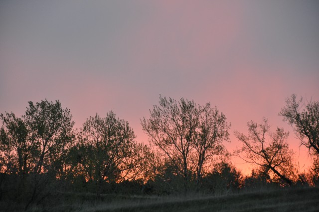 0026C643-098D-4276-92CF-02480F7DFC83