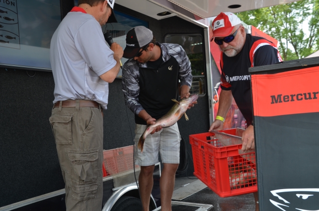 006B8B2A-675C-46BB-B679-C61F944D90D0