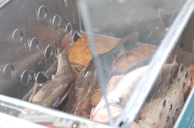 00E45767-0649-445A-8FA5-57A1B3730073