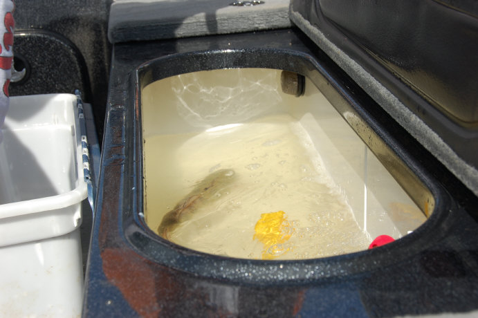 01559163-A959-4631-ADC9-1A140F6CC9D1