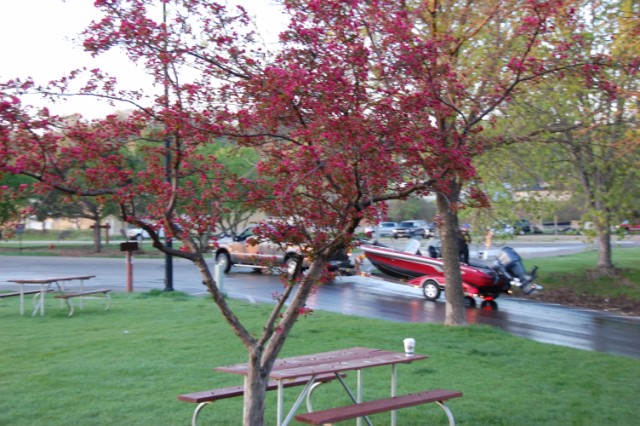 0278A86B-84C3-4952-A06E-C4F23680D007