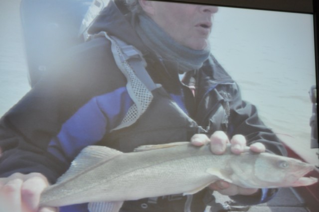 036ABF78-128B-4002-92D5-5B11AF549E95