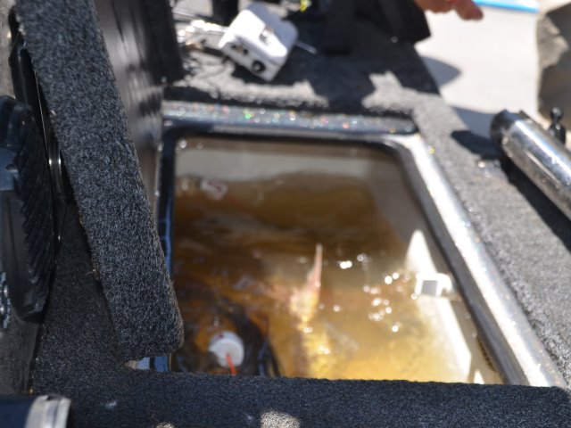 03E6BFA3-E765-4023-95E1-7051D28E7344