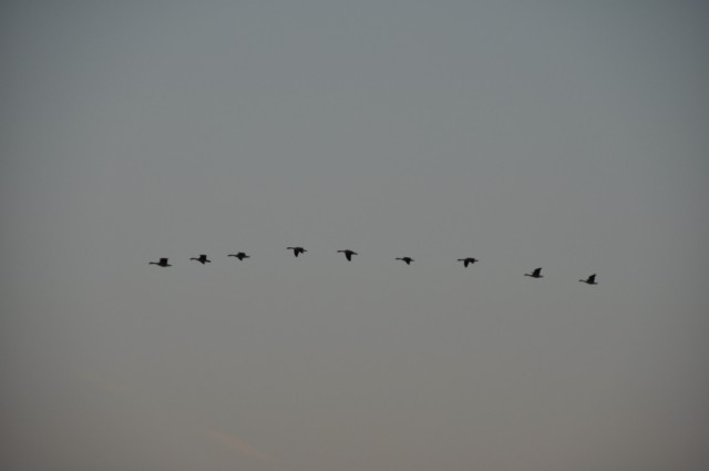 03F53161-20E0-469E-A0EF-90D11A605D0F