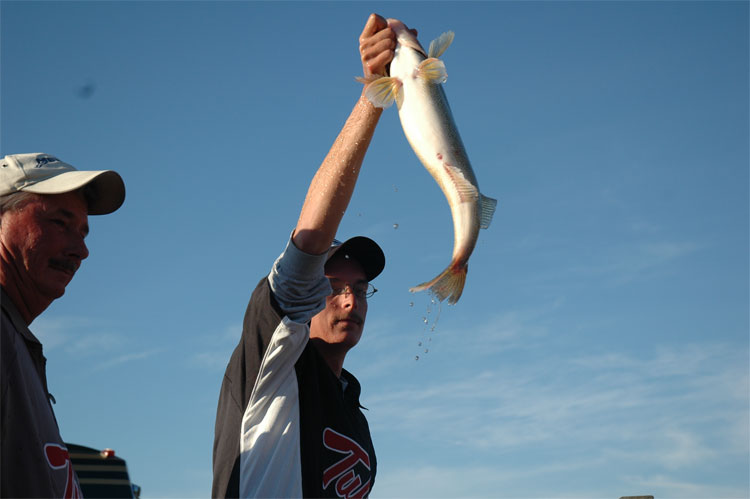 044B12A3-6438-40D4-8639-2660382D1393