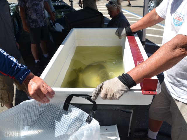 04553B2E-8E9F-4517-B5FF-3DF95EB7427D