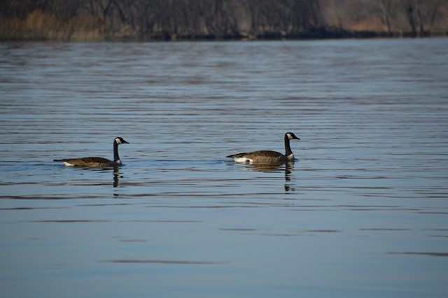 049045AB-3BFA-4733-9B0F-5995C4BC001C