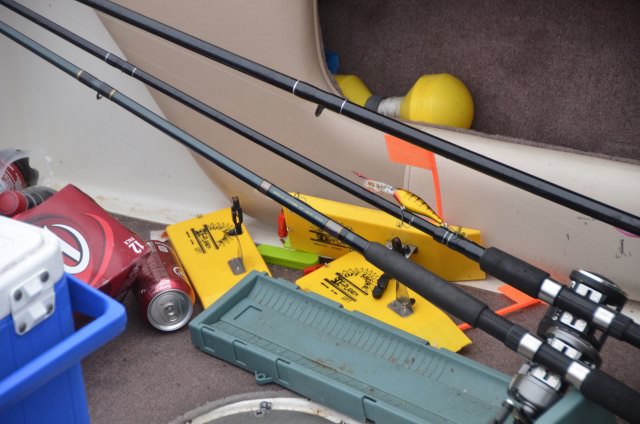 0496E119-9DB4-4C81-A041-6FCF47E63F12