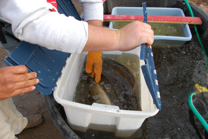 052578F6-F282-4926-9ECC-3BD30CB25E0F