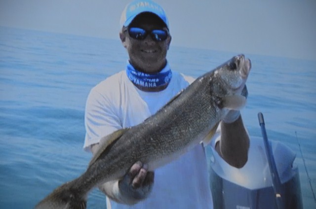 05A5C80B-8105-483B-8829-ADFFDDD95CB0