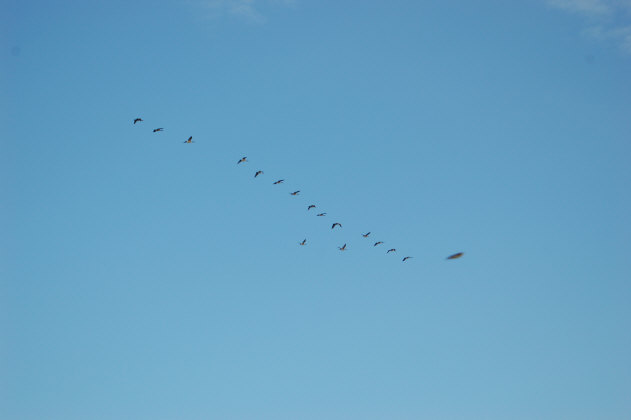 0699C931-95AB-4903-B678-B02A8414674E