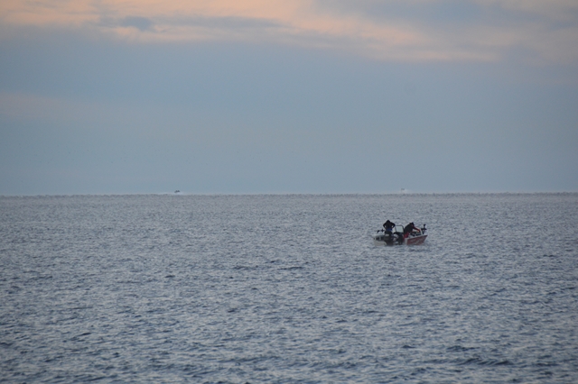 06CD871D-7E85-47AC-A790-539230528802