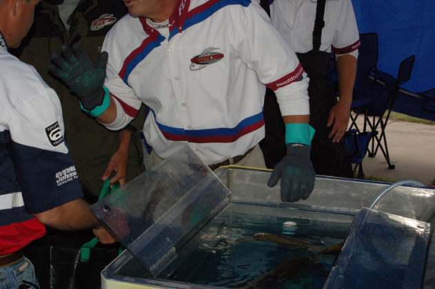 07A403B0-F2B0-4DD7-A7CF-8EB327BBD203