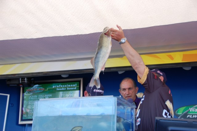 08957D3C-7206-4C02-A4FE-76323198B314