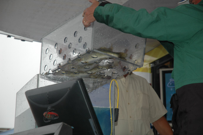 08CD7044-6C4B-40BD-8B80-00909238F863