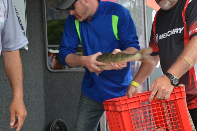 094CFF15-84D0-48B4-9A59-1BFC5D9C23DB