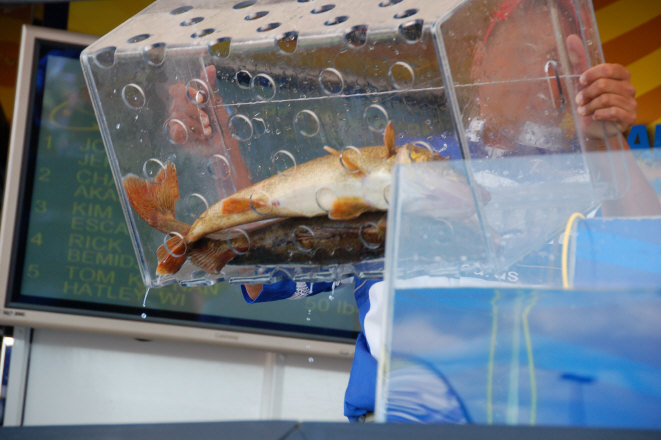 095569E8-8861-4CA5-AE68-CB0F5667D566