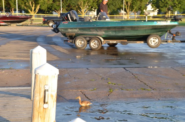 0A50F8FB-DFAE-40B3-8799-2EF409BDF4B2