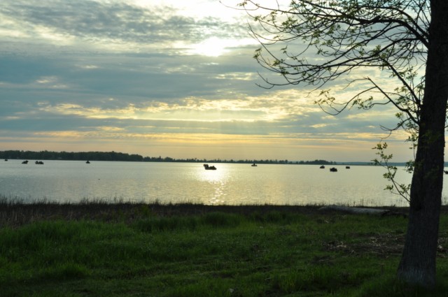 0AABB870-8BC2-4FA9-A03F-4BFDC5BD2945