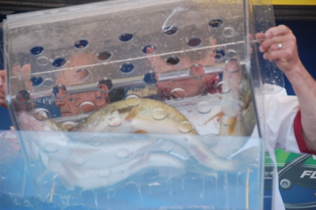 0AD487F8-BB23-435B-9949-448DD420E123