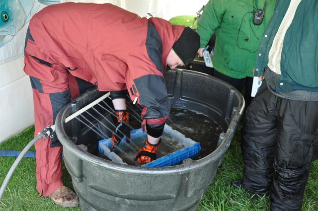 0B945C2D-0AC3-4ECA-88C4-2A147E2ADDDC