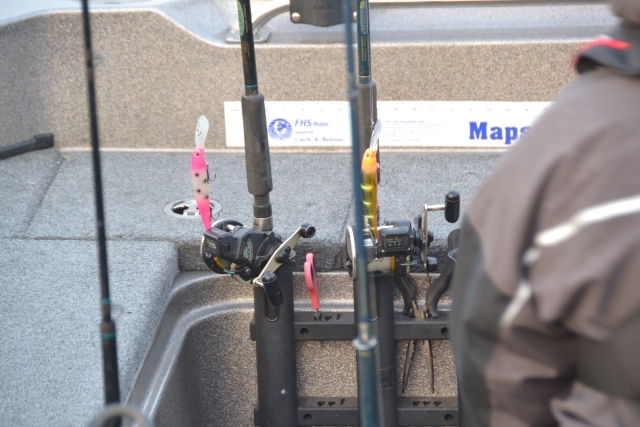 0C215719-C8F2-437B-8C21-3C74ADCA9C68