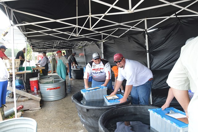 0D5DFB77-C3D9-4EAC-87F6-F2C74CAA9205