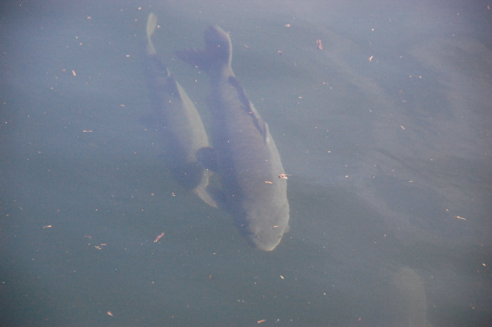 0D9D4791-1587-4D40-9A5A-25956F8972C6