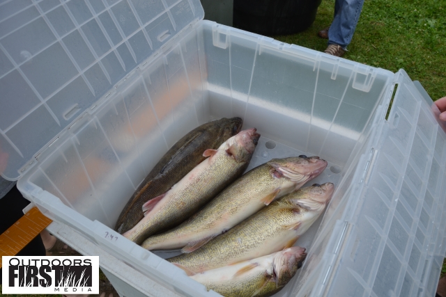 0F4D5BDC-46D8-4299-9175-0F1FA882AB3B