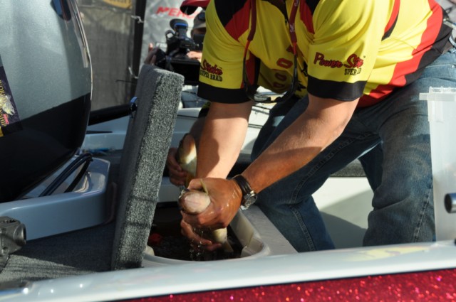 0F55ECD9-A9B0-4F5F-9053-0641A81EA8DB