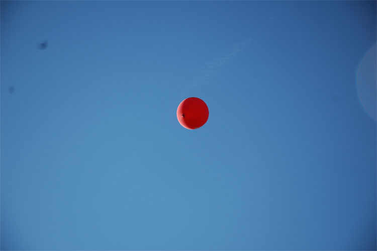 0F61BE6C-06F6-42AE-B7EB-4778298A888B