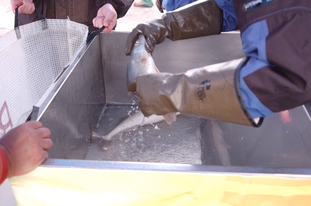 0F8C94F8-74D8-414E-B457-0A4FE9CA0222