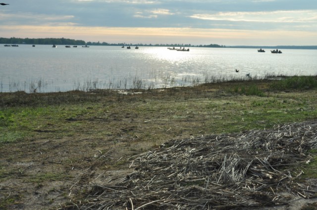 1095D187-1B17-4643-BB54-99AFBB8F240F