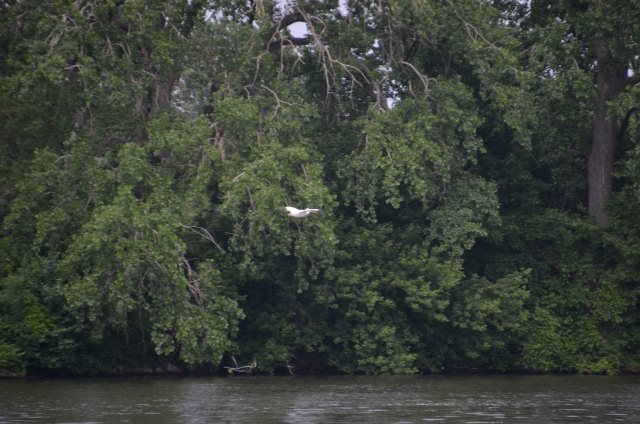 10963EFE-7874-4401-A04B-6DEC95ECEDFA