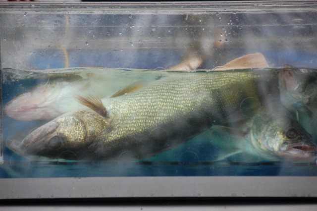 11154D84-45DA-4B13-A53F-AA662701B8D8