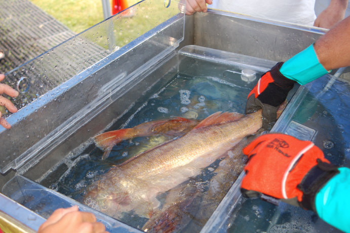 11CE5F83-E665-4647-9AA6-C3F7788A28AB