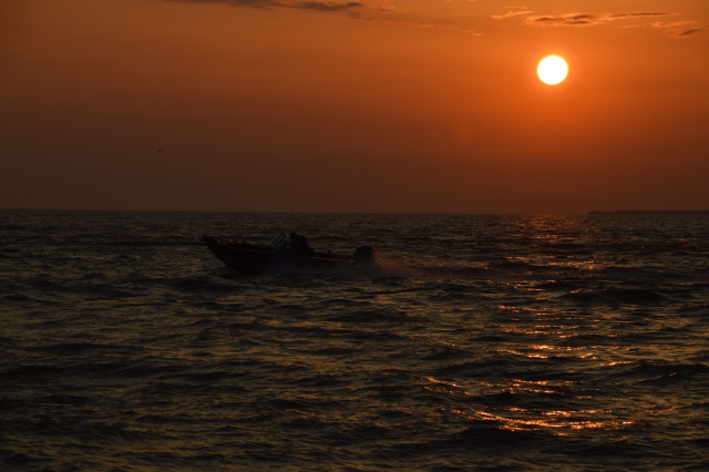 12463AB5-F48F-4DFF-8015-23B6E3231226