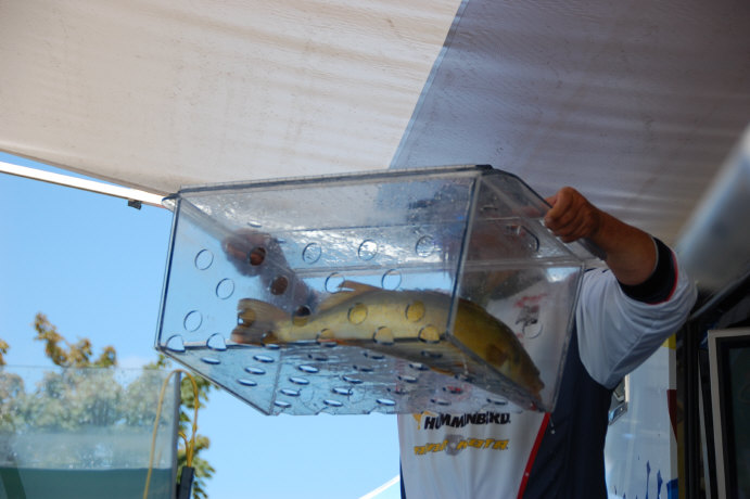 12DA5A15-D4CE-4EFD-83EA-7EBA6F7C2DA5