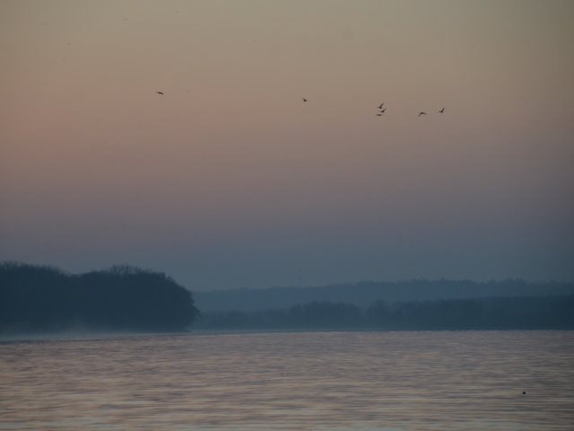 1387FD65-F751-40D5-971E-00CE31216C72