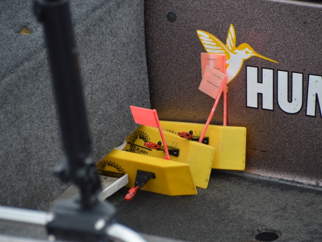 138E11D8-3984-406C-B912-B9FD7C00D03E