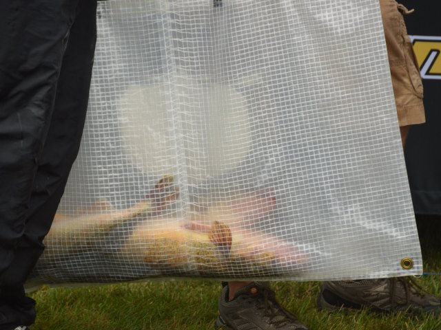 13D98E9D-4583-4902-A9D0-9C8B99B0CE18