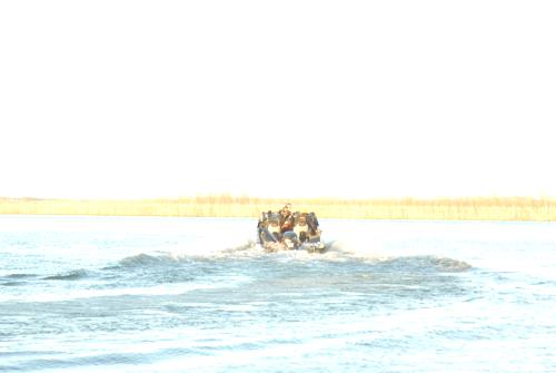 14EB3AD2-5B9F-4B52-9AE6-641518B8C8B7