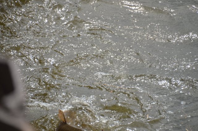 160A1251-1ECF-4A91-90A5-350C0733CB2B