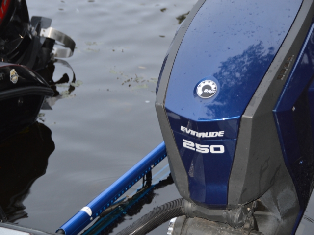 16175FE0-D0AB-4DC4-AAA7-AAA2A636039B