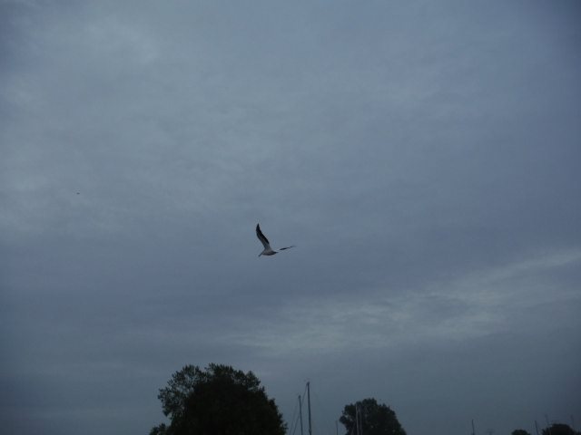 1697FD62-018D-414E-9407-2537DDEF7646