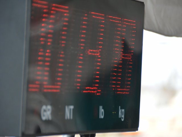 16CD4D37-B698-4523-99BC-10AE8F744099