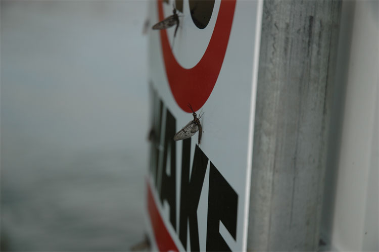 177CE9CB-B427-491D-893B-8A26D41CD69F