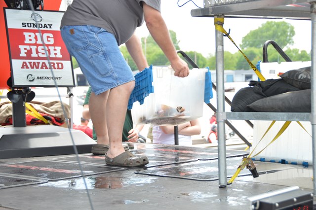 17CE777B-AF01-4170-BD27-94AA5CE51CEF