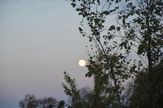 17D4B1D5-AD93-49EE-9F55-CE8994E3EB1B