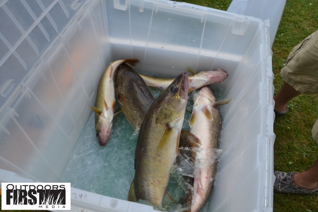 180BBD95-41AF-4D02-A3A1-721A2C295EC4